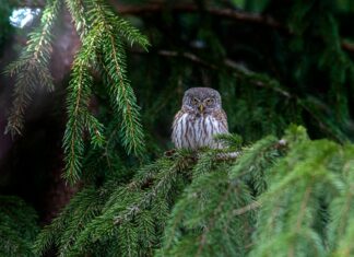 White Claw Secrets: What You Didn’t Know About This Viral Drink White Claw Secrets: What You Didn't Know About This Viral Drink