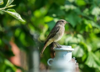 Whitney Wren OnlyFans Leaks: What We Know and What’s Going Viral Whitney Wren OnlyFans Leaks: What We Know and What’s Going Viral