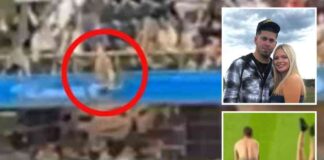 man-charged-after-baseball-fan-fall-disturbing-rap-sheet-revealed