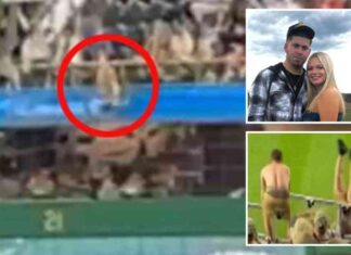 Man charged after baseball fan fall: Disturbing rap sheet revealed man-charged-after-baseball-fan-fall-disturbing-rap-sheet-revealed