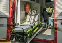 pexels photo 28271067