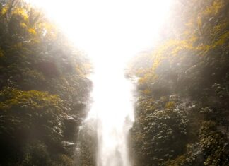 Terri Hernandez: Discover The Secrets Behind Her Inspiring Journey