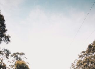 Steve Napolitano: Discover the Secrets Behind His Success Today!